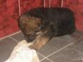 DSC00693